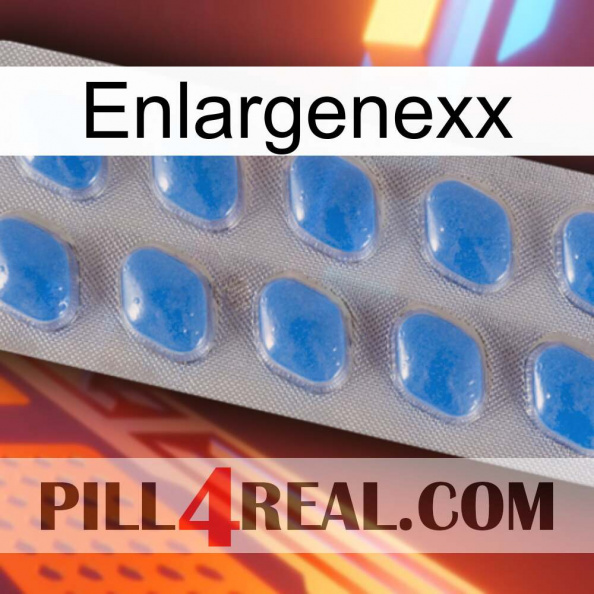 Enlargenexx 22.jpg